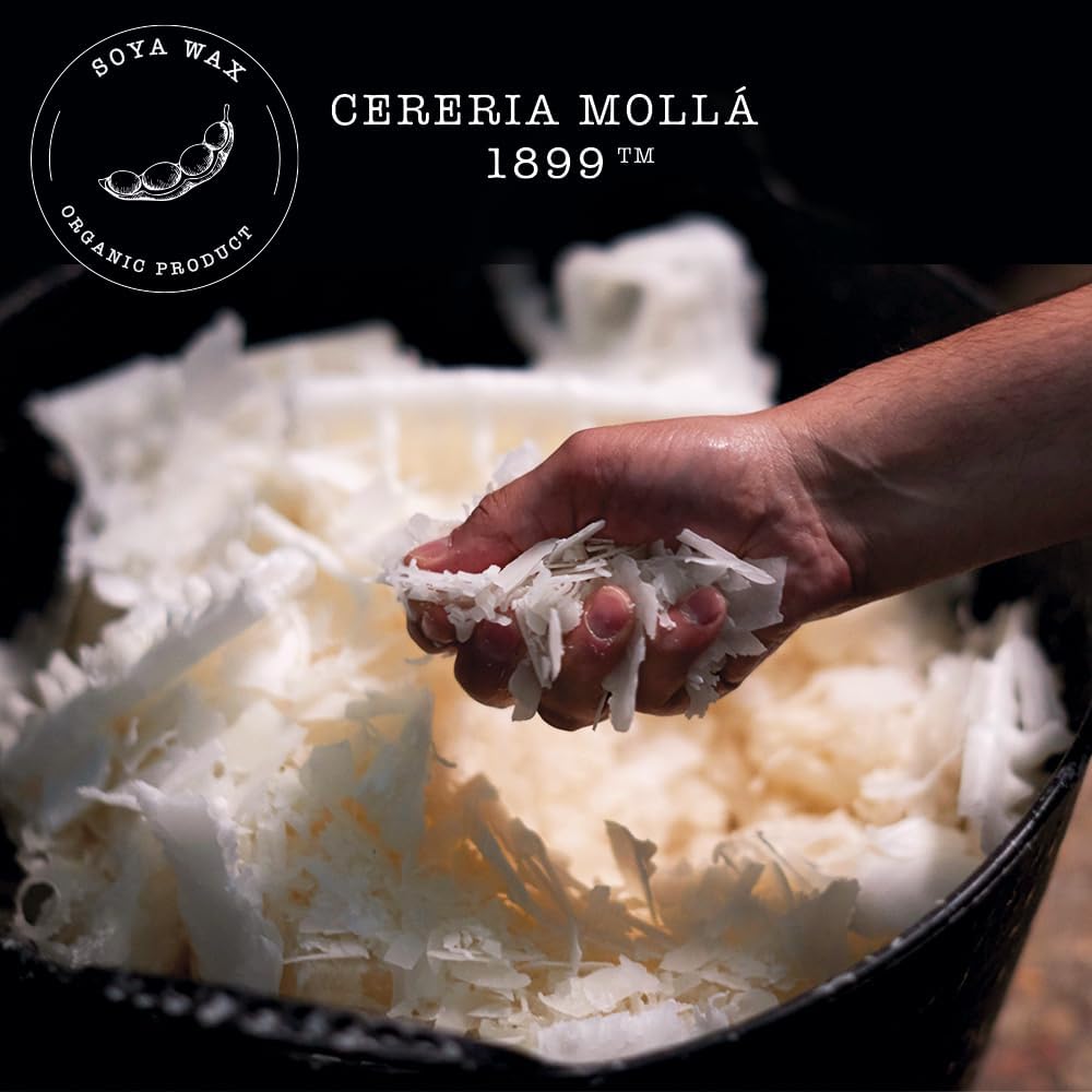 Cereria Mollà - Candela XL - immagine 4