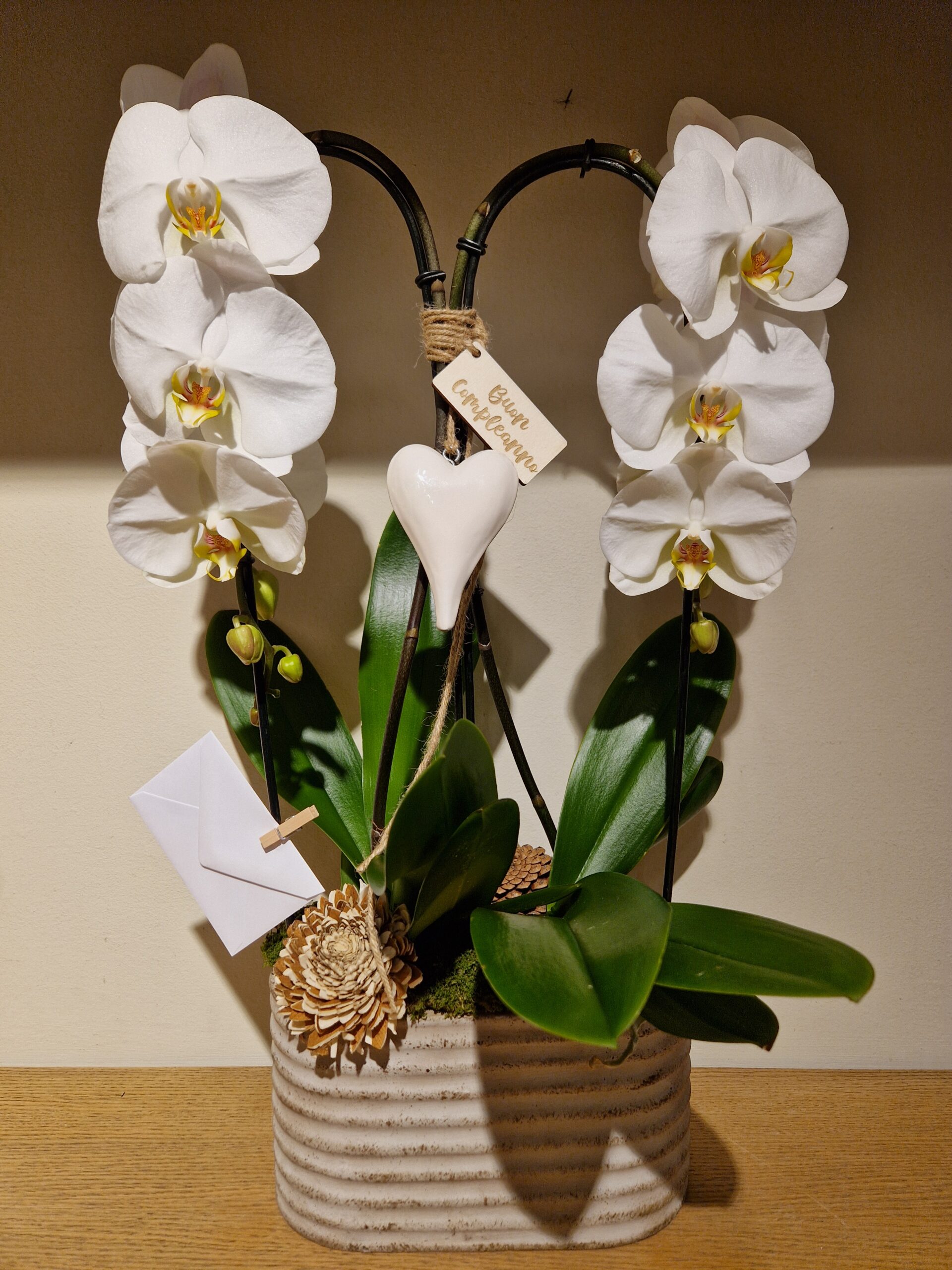 Due Orchidee Phalaenopsis a cascata