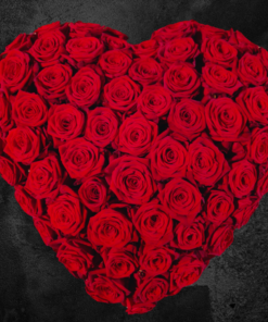 Cuore rose