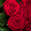 Mazzo rose premium a scelta