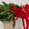 Coroncina laurea premium