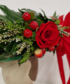 Coroncina laurea premium