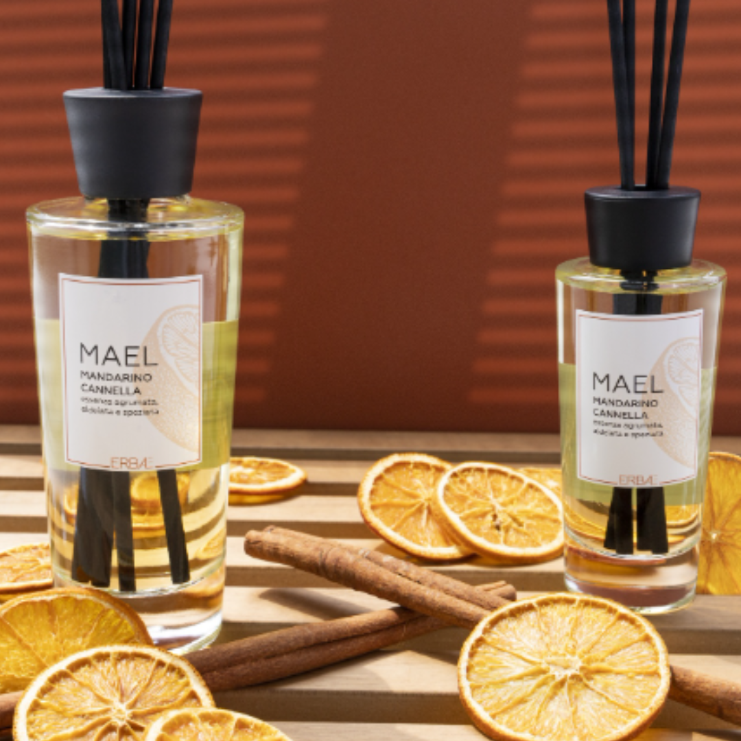 Erbal by Locherber - Diffusore ambiente 500 ml