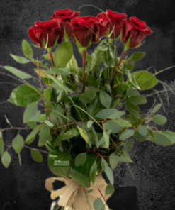 5 rose rosse premium