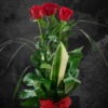 3 rose rosse premium
